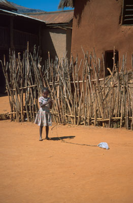 madag54.jpg (36478 bytes)